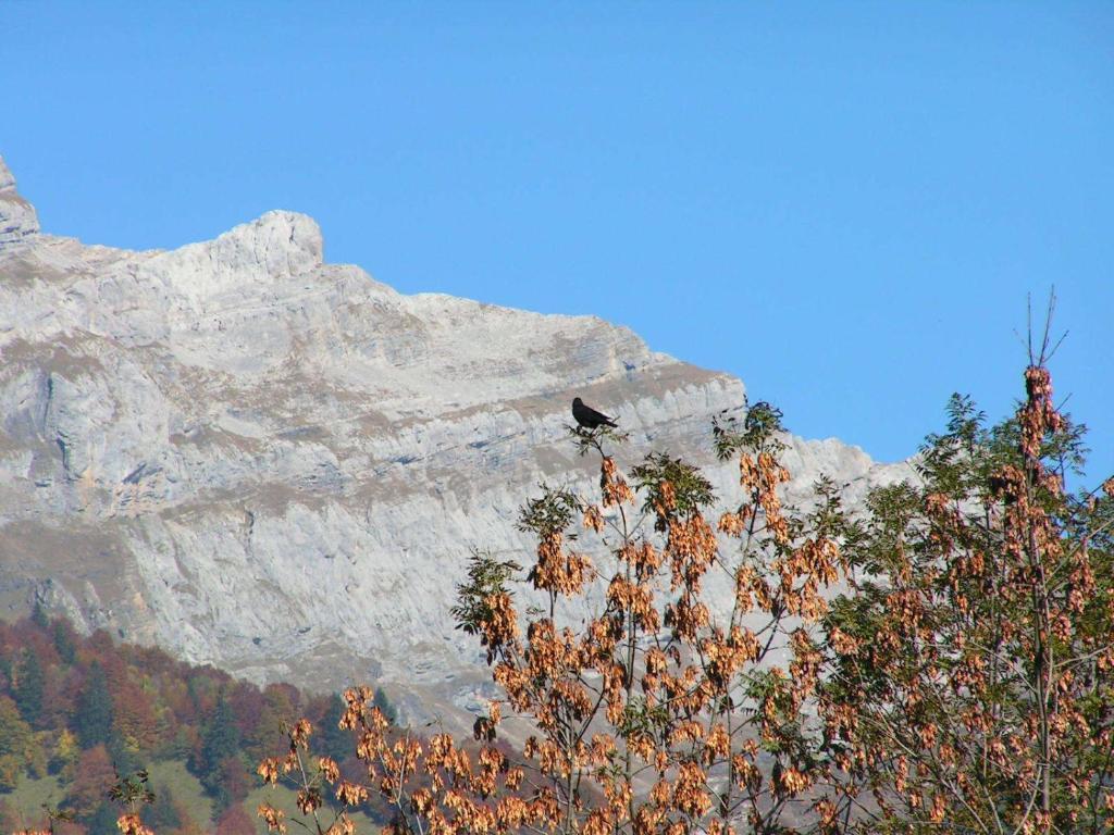 Chalet Narcisse Sixt-Fer-a-Cheval Ruang foto