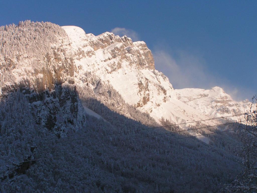 Chalet Narcisse Sixt-Fer-a-Cheval Ruang foto