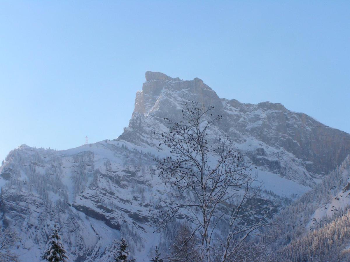 Chalet Narcisse Sixt-Fer-a-Cheval Ruang foto